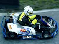 kart3.JPG (6287 Byte)