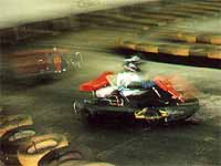 kart0699.JPG (10366 Byte)