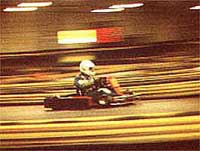 kartdaytona.JPG (13464 Byte)