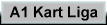 a1liga1.gif (956 Byte)