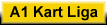 a1liga2.gif (966 Byte)